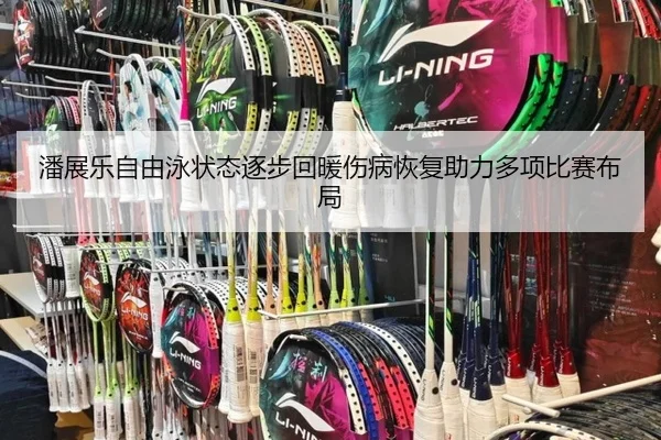 潘展乐自由泳状态逐步回暖伤病恢复助力多项比赛布局